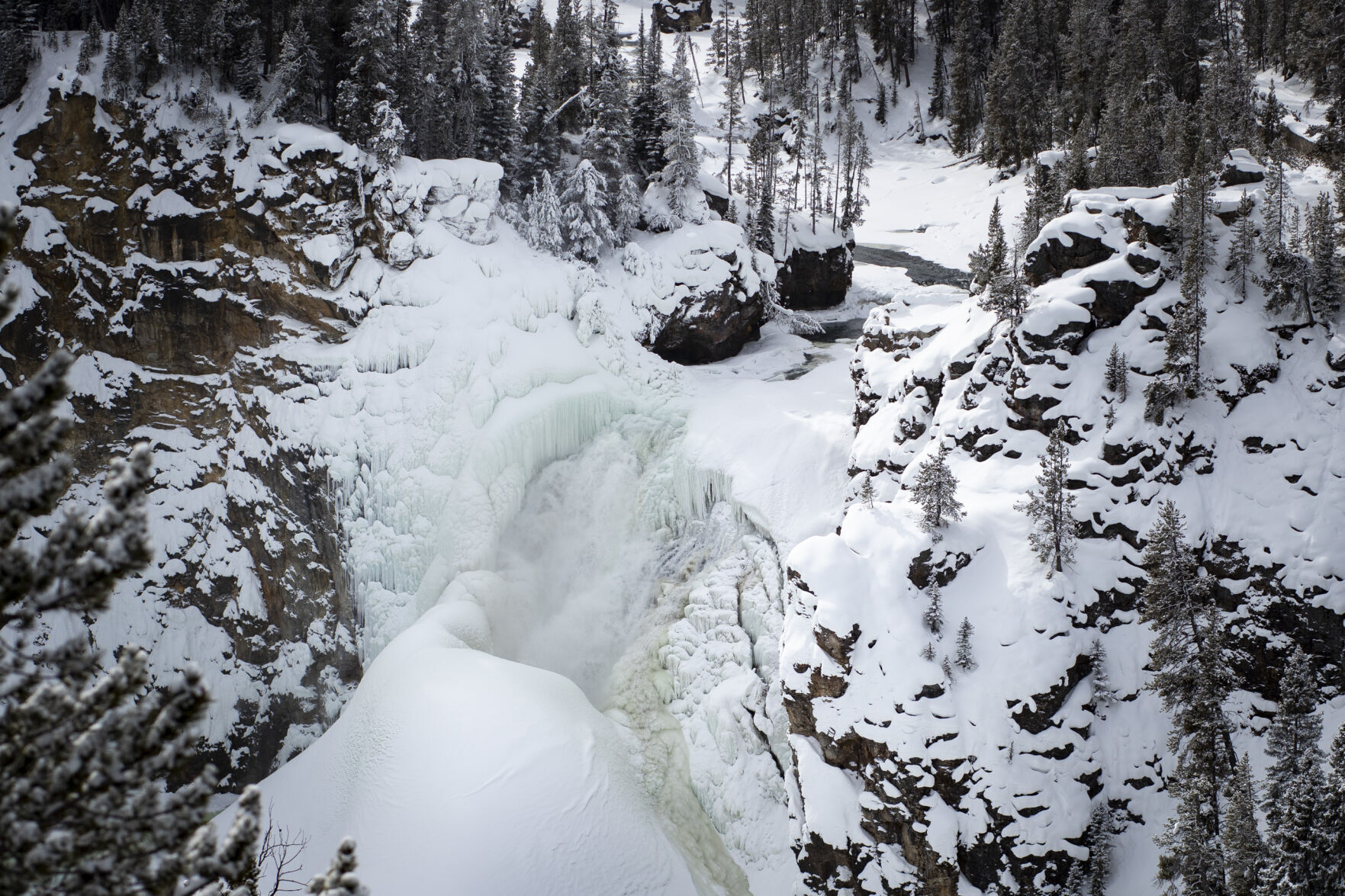 Yellowstone in Winter